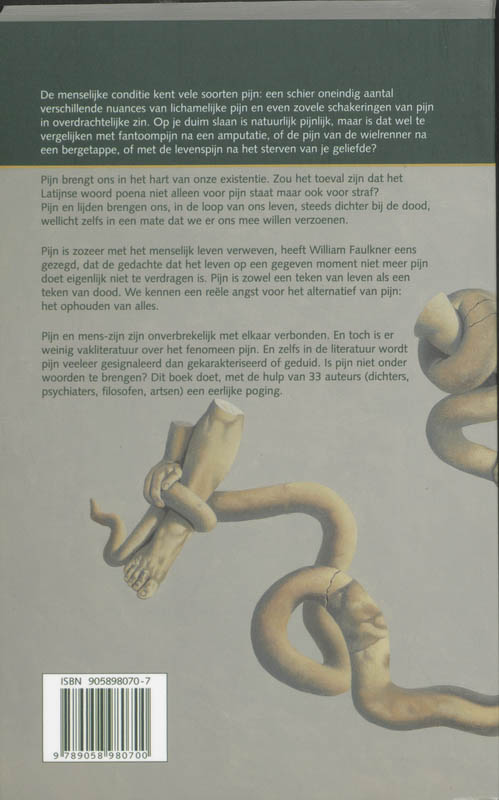 Achterkant van Pijn