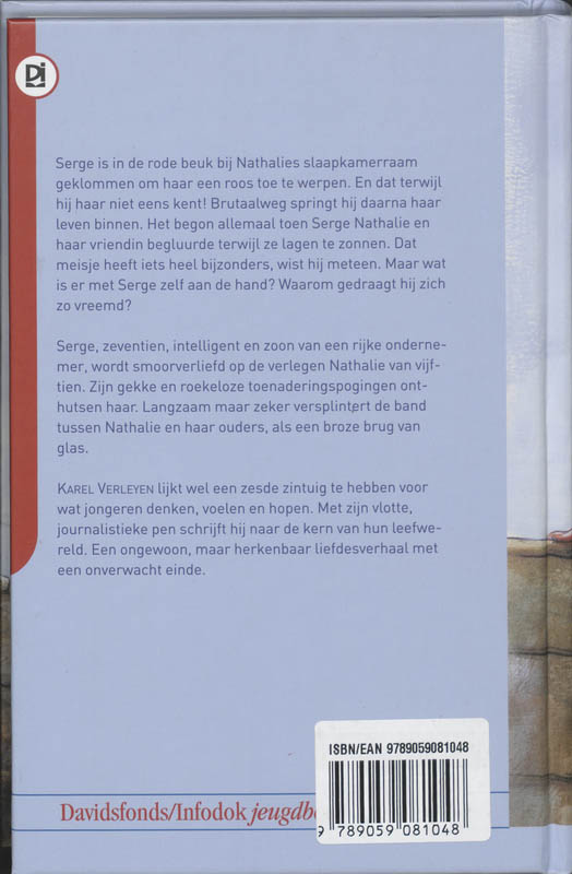 Achterkant van Een brug van glas