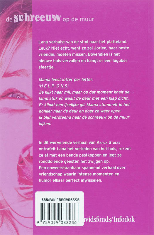 Achterkant van De schreeuw op de muur