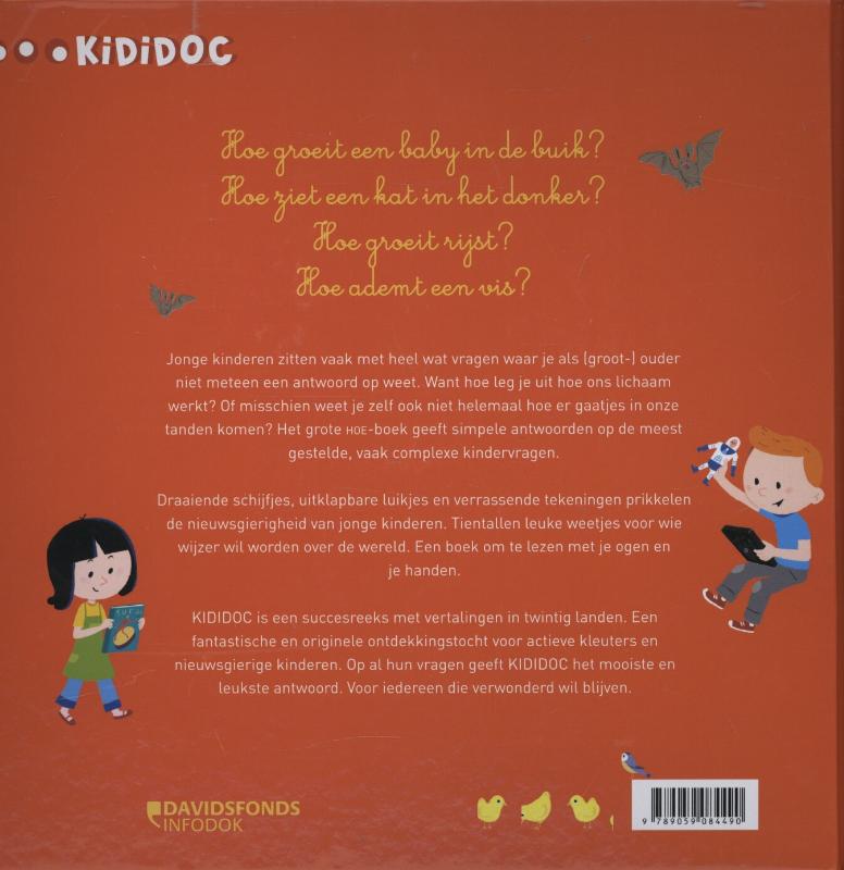 Achterkant van Het grote kididoc hoe boek