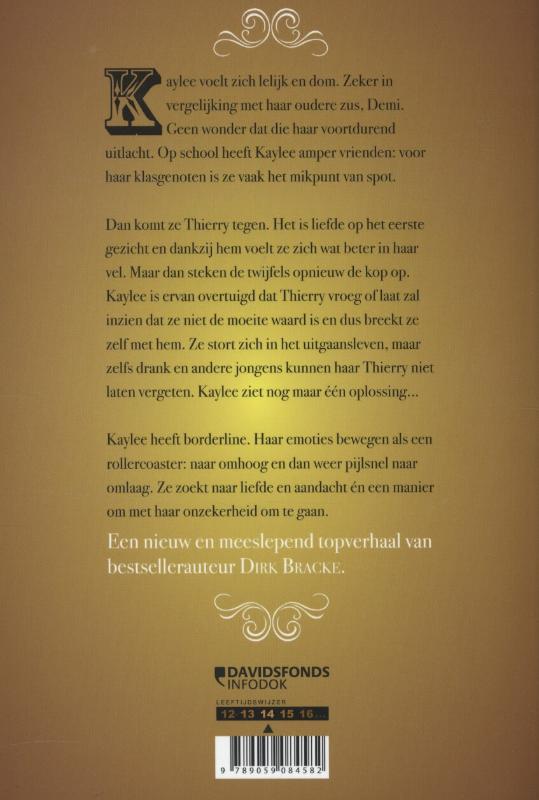 Achterkant van Rollercoaster