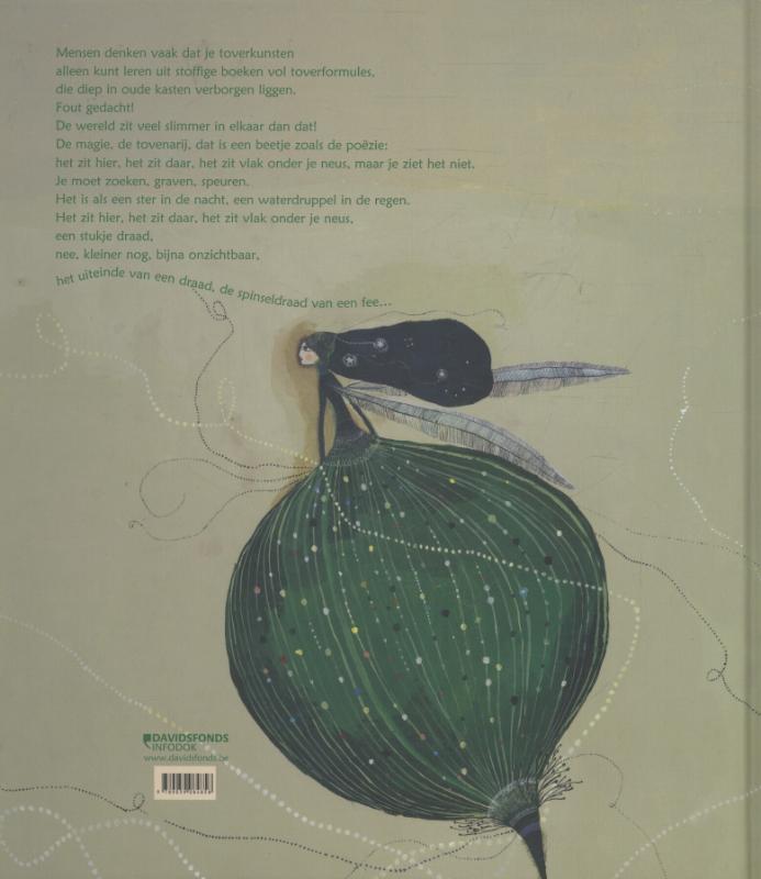 Achterkant van Feeengeheimen