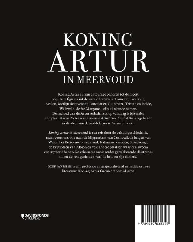 Achterkant van Koning Artur in meervoud