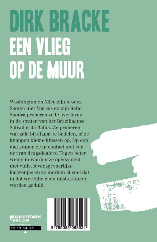 Achterkant van Een vlieg op de muur