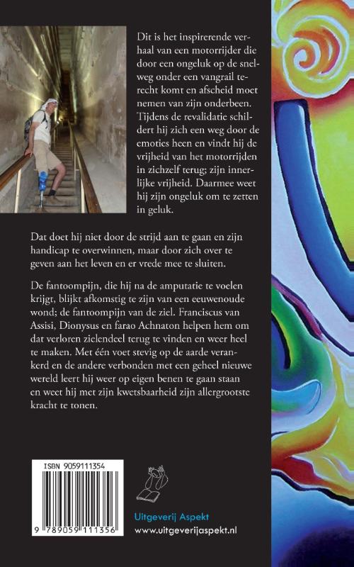 Achterkant van De Koning van de kwetsbare kracht