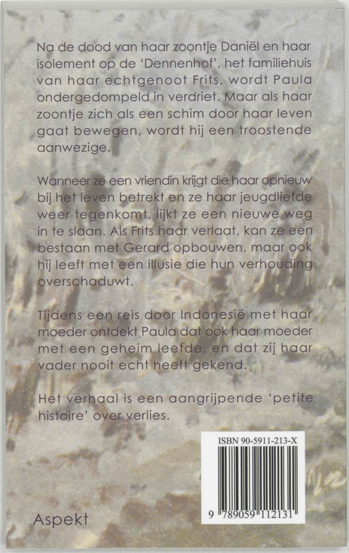 Achterkant van De schim van Daniel