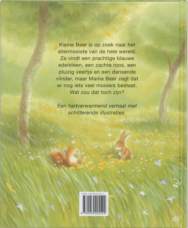 Achterkant van Het mooiste dat er is