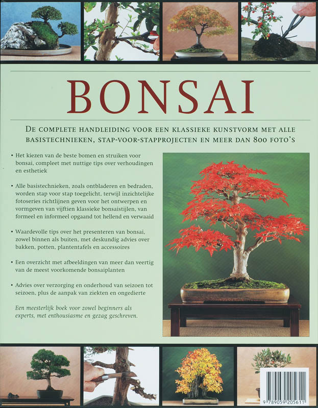 Achterkant van Bonsai