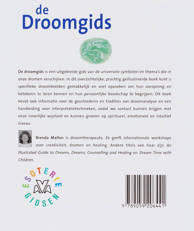 Achterkant van De droomgids