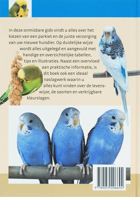 Achterkant van Parkieten