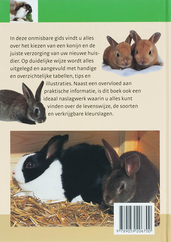 Achterkant van Konijnen