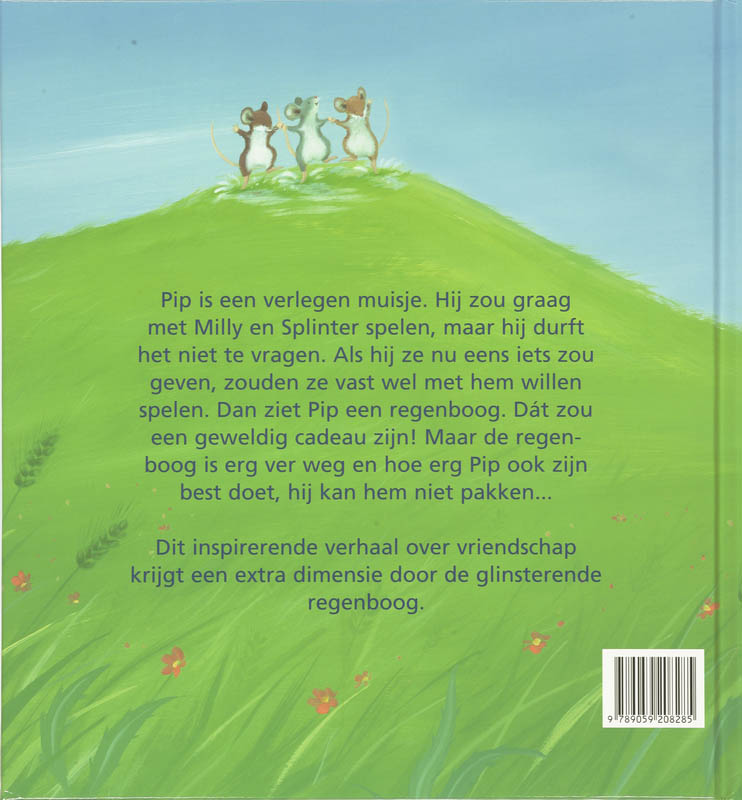 Achterkant van Kleine Pip en de regenboog