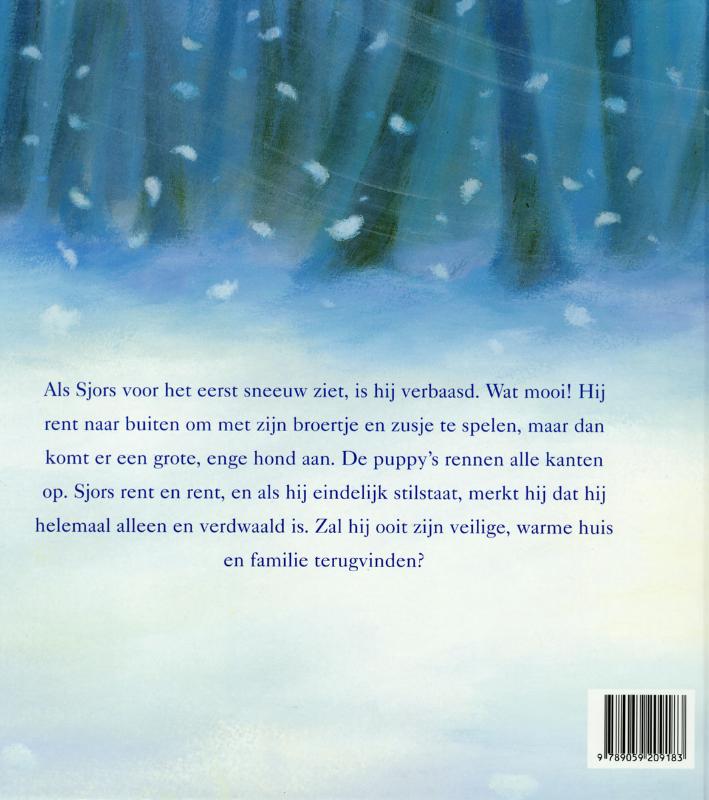 Achterkant van Verdwaald in de sneeuw