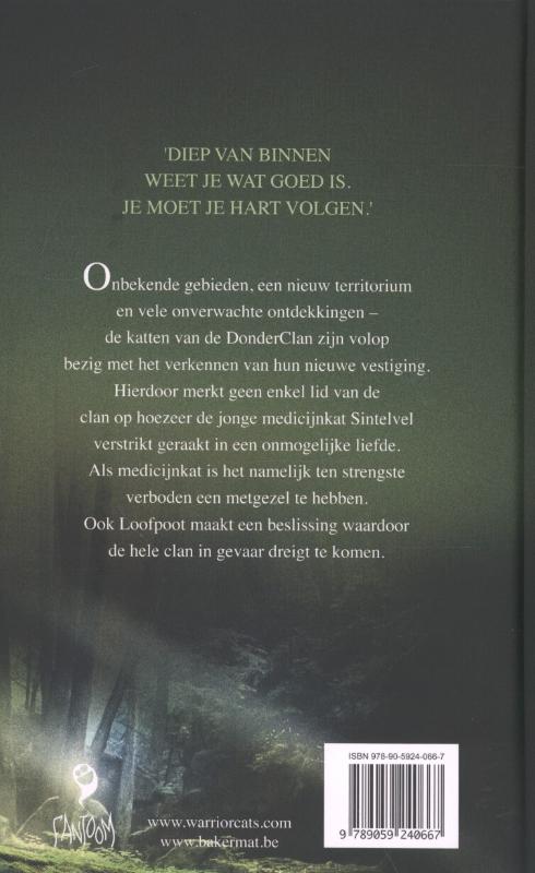 Achterkant van Schemering