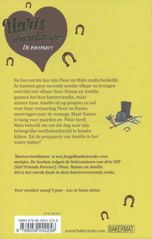 Achterkant van De ponyparty