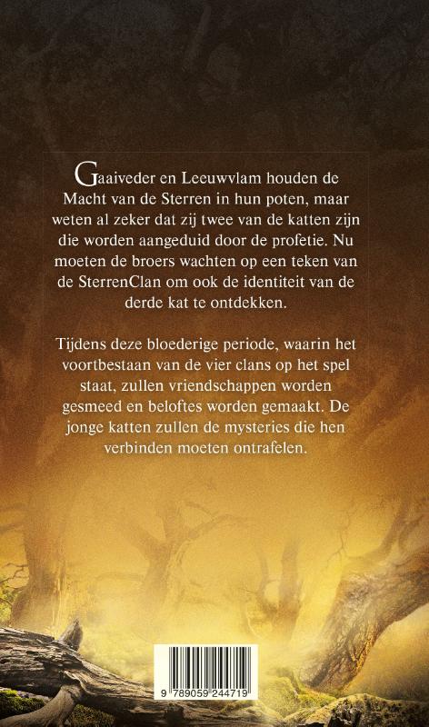 Achterkant van De vierde leerling