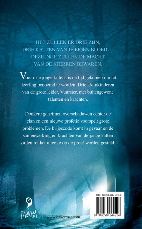 Achterkant van Het tweede gezicht