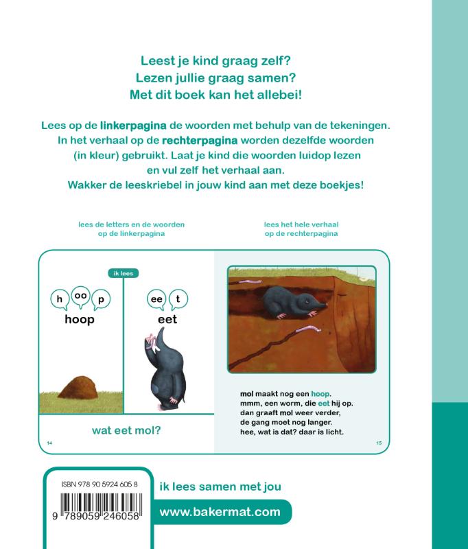 Achterkant van Mol in de put