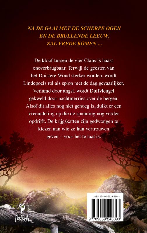 Achterkant van De vermiste krijger