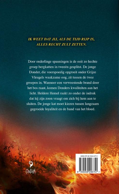 Achterkant van Donderwolken