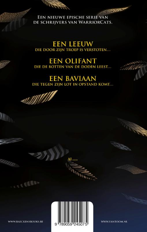 Achterkant van De Schaduwen