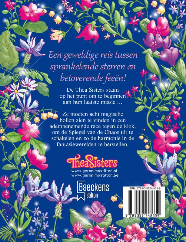 Achterkant van De geheime spiegel