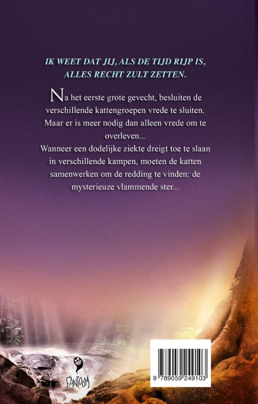 Achterkant van De vlammende ster