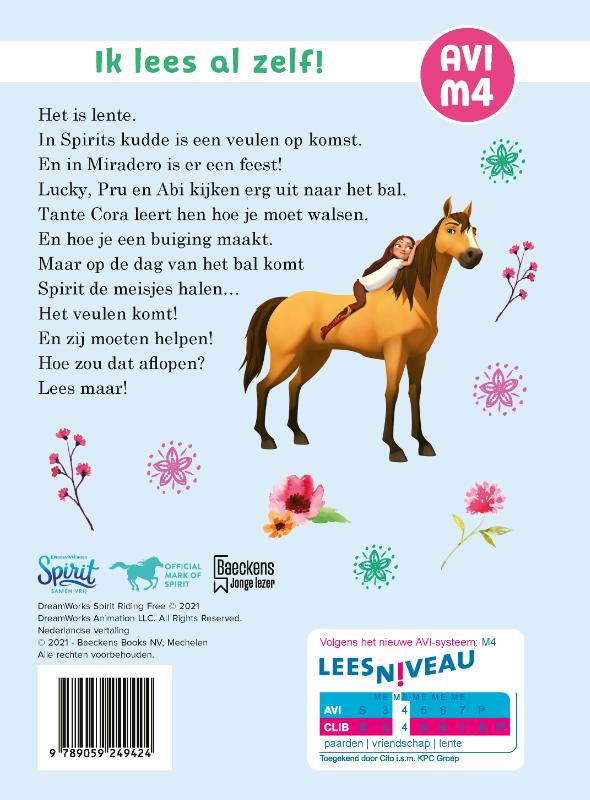 Achterkant van Het veulen