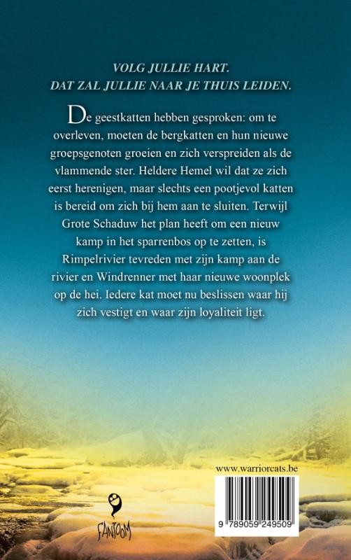 Achterkant van Het verscheurde woud
