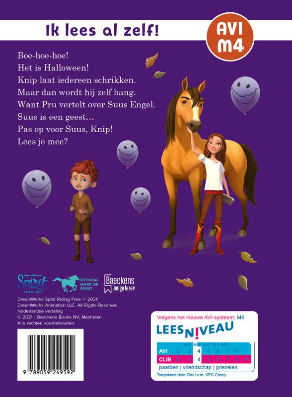 Achterkant van De geest van Suus
