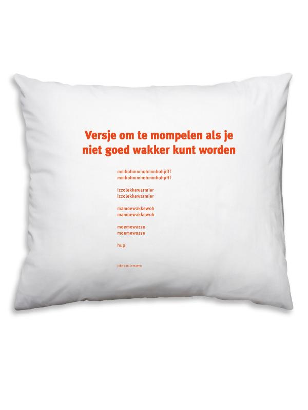 Achterkant van 32