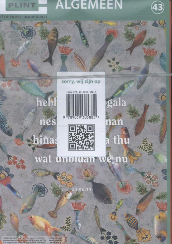 Achterkant van 43