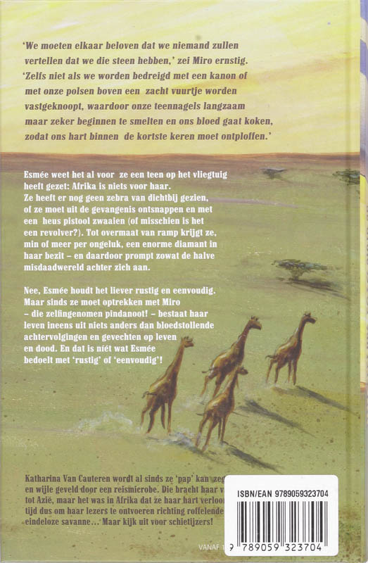 Achterkant van De Grote Ster van Afrika