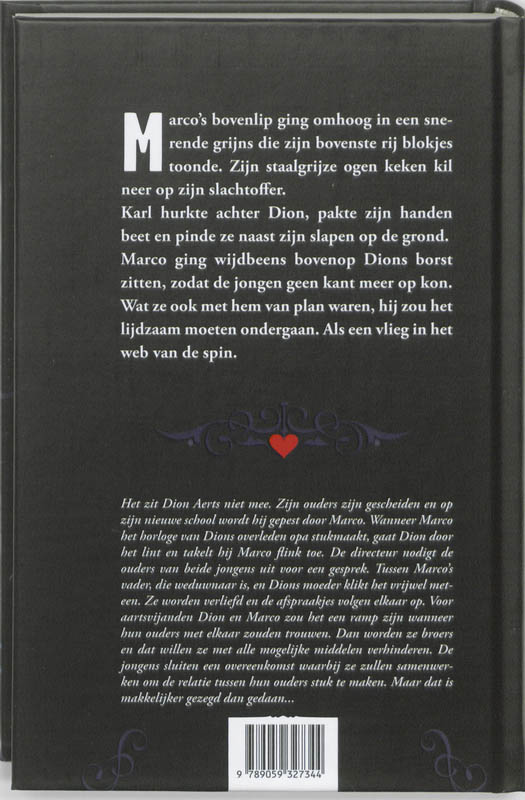 Achterkant van Het Cupido Complot