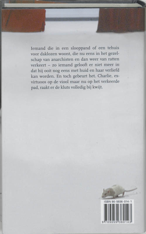 Achterkant van Rokje en de viool
