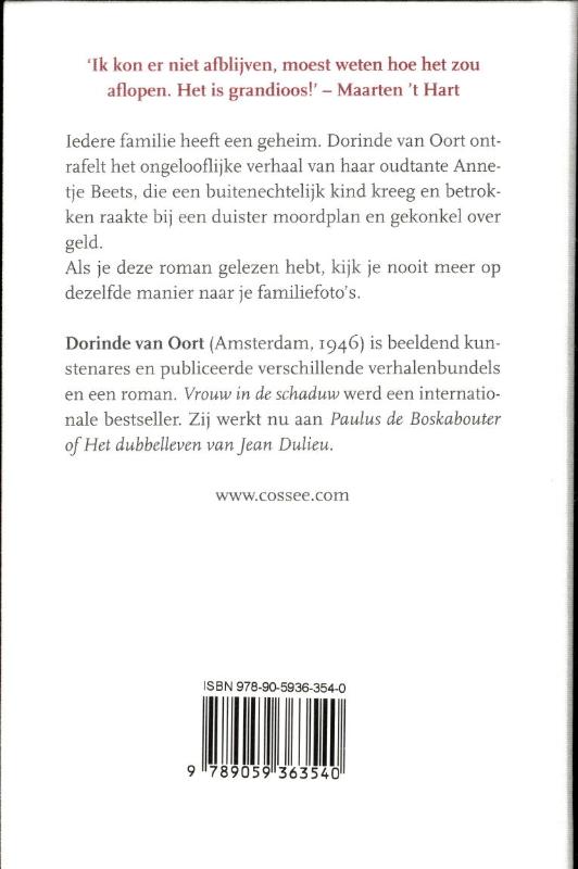 Achterkant van Vrouw in de schaduw