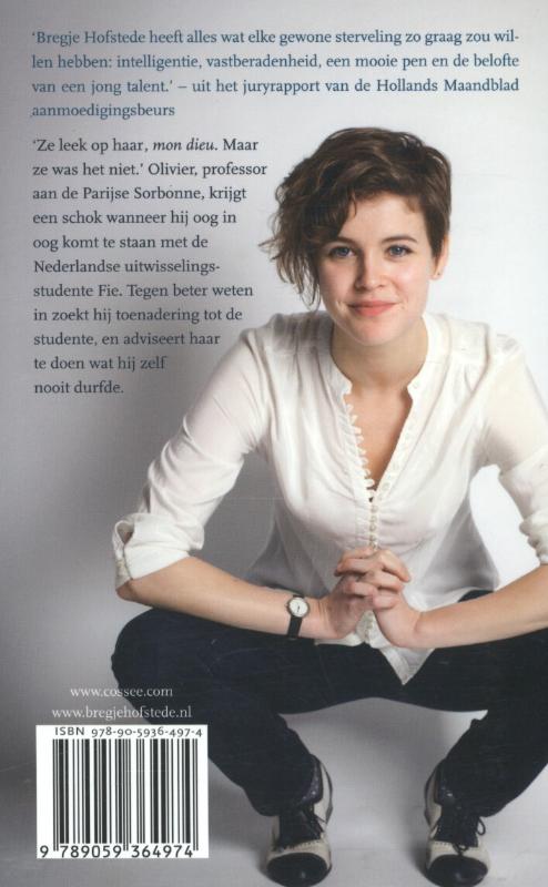 Achterkant van De hemel boven Parijs