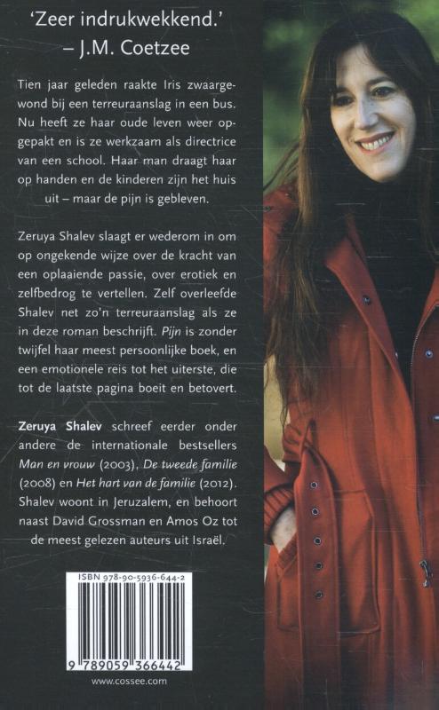 Achterkant van Pijn
