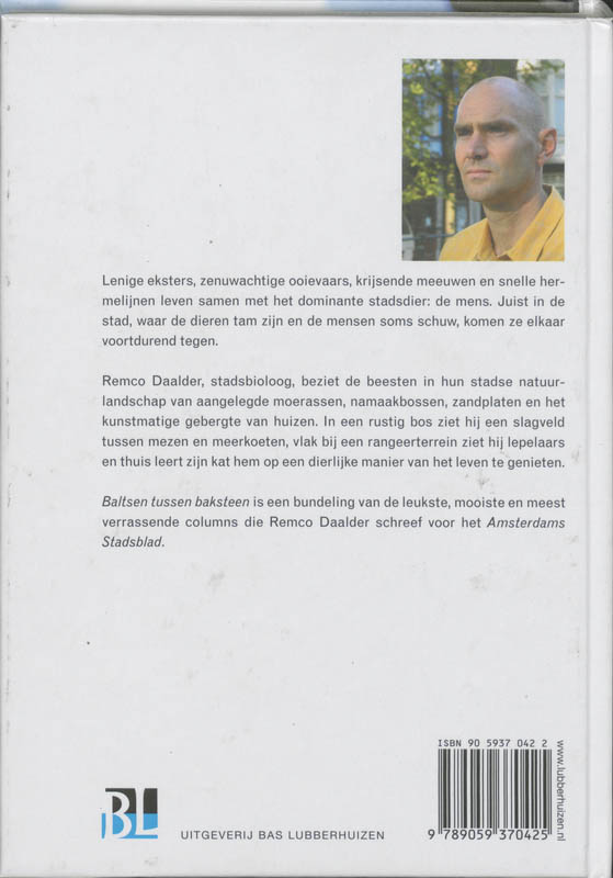 Achterkant van Baltsen tussen baksteen