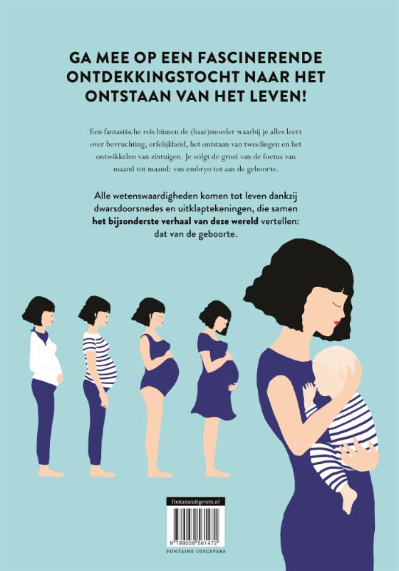 Achterkant van Geboorte