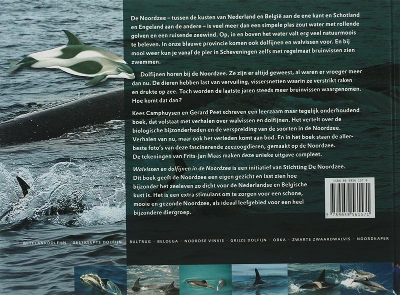 Achterkant van Walvissen en dolfijnen in de Noordzee