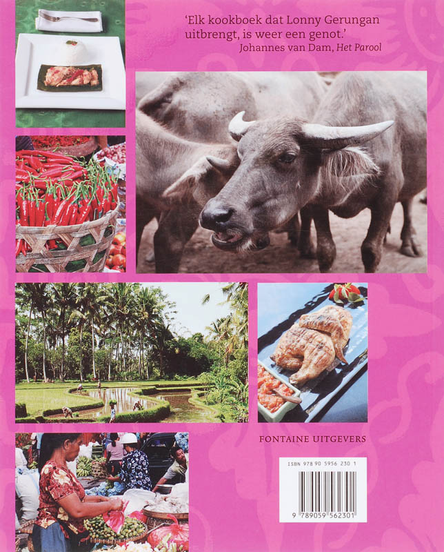 Achterkant van Het Bali kookboek