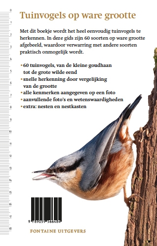 Achterkant van Tuinvogels op ware grootte