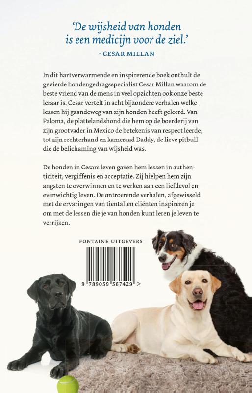 Achterkant van Wat honden ons leren