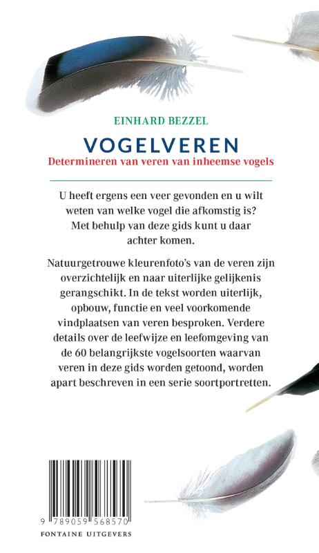 Achterkant van Vogelveren