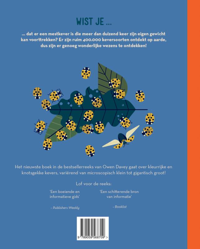 Achterkant van Knettergek van kevers