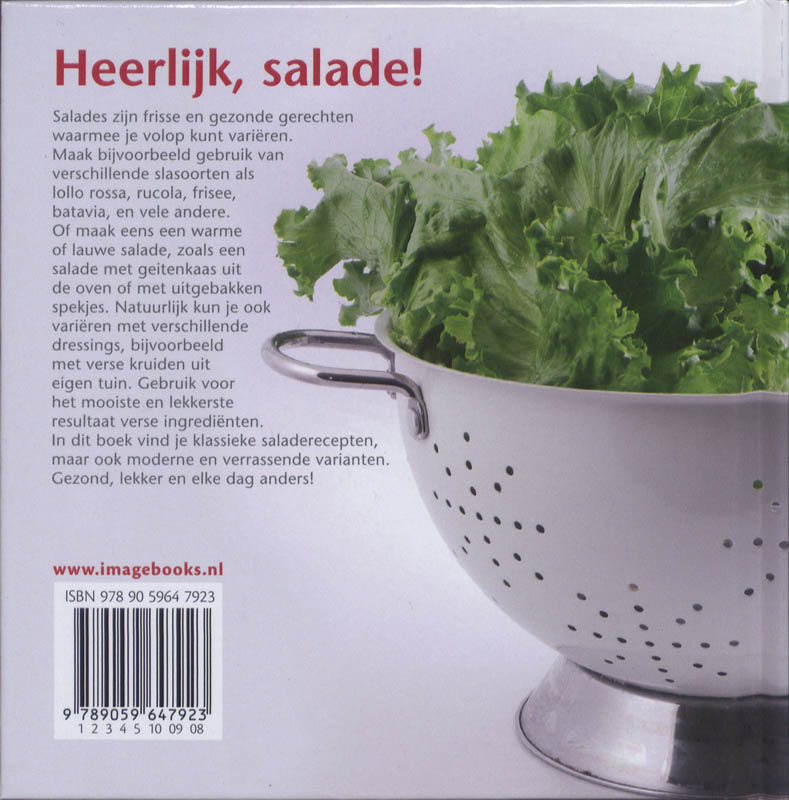 Achterkant van Saladerecepten