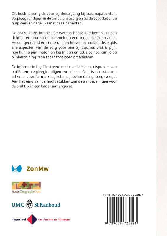 Achterkant van Pijn bij trauma
