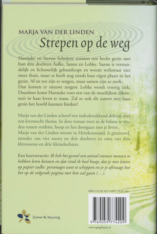 Achterkant van Strepen op de weg