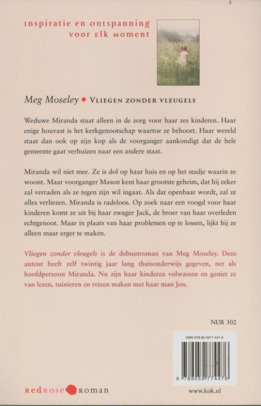 Achterkant van Vliegen zonder vleugels
